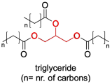 Triglyceride là gì?